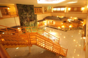 Отель Hotel Towadaso  Товада